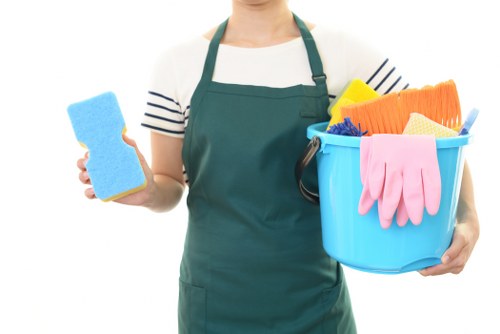 Professional mattress cleaning in Plaistow with deep extraction equipment