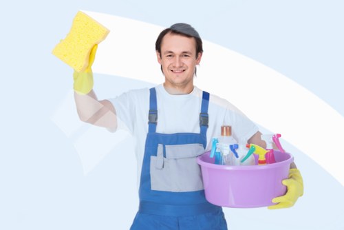 Plaistow Carpet Cleaners accessibility statement introduction
