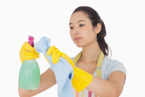 Professional carpet cleaning in a Plaistow home interior