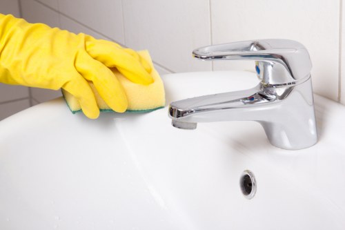 Professional stain removal methods for carpets in Plaistow