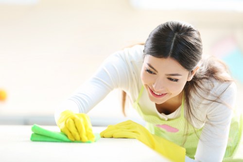 A technician performing mattress cleaning in Plaistow