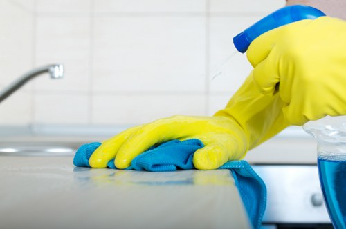 Safety checklist and risk assessment before carpet cleaning