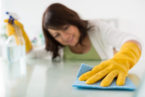 Technician handling stubborn pet stain odour in a home