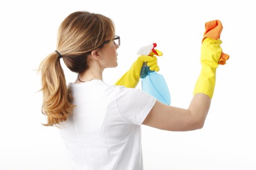 SSL-protected carpet cleaning payment process