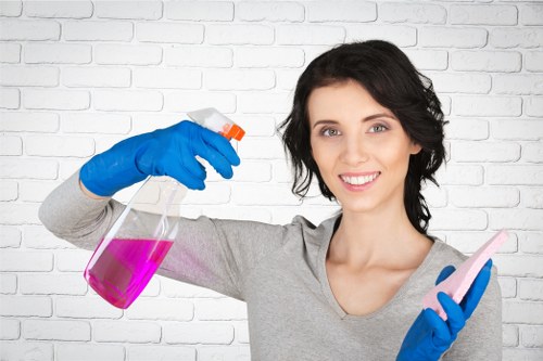 Professional carpet cleaning process in a busy home