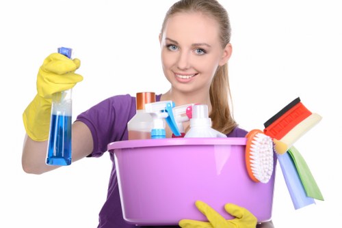 Stain treatment during upholstery cleaning in Plaistow