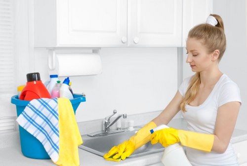 Professional carpet extraction for pet odour removal