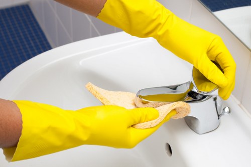 Steam cleaning carpets in a Plaistow home or office