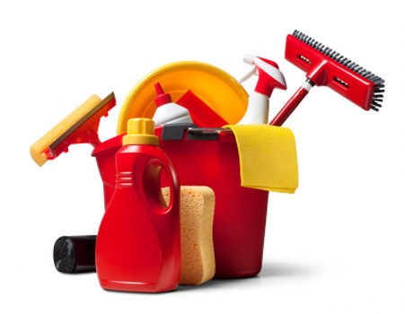 Stain removal and carpet care in Plaistow